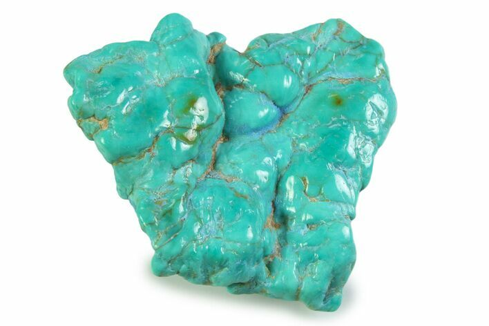 Polished Chilean Turquoise ( grams) Nugget #358854